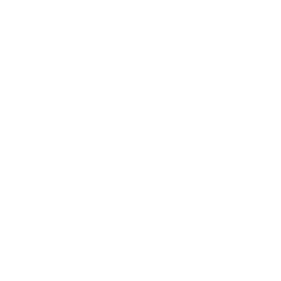regio-icon